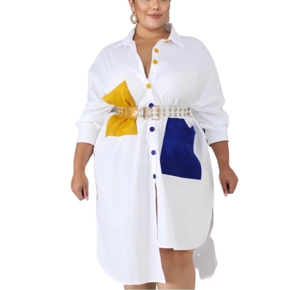 Plus Size Color Block Pocket Dress - Picture 2 of 4